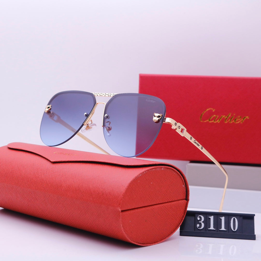 Women's Sunglasses—3110