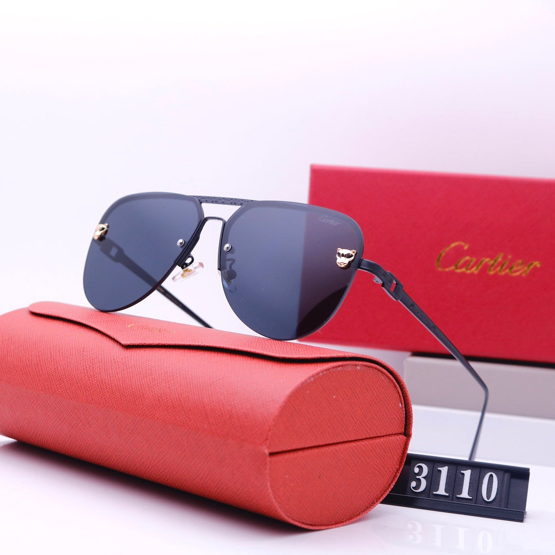 Women's Sunglasses—3110