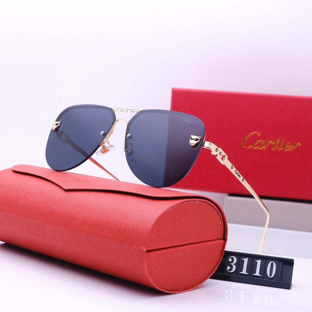 Women's Sunglasses—3110