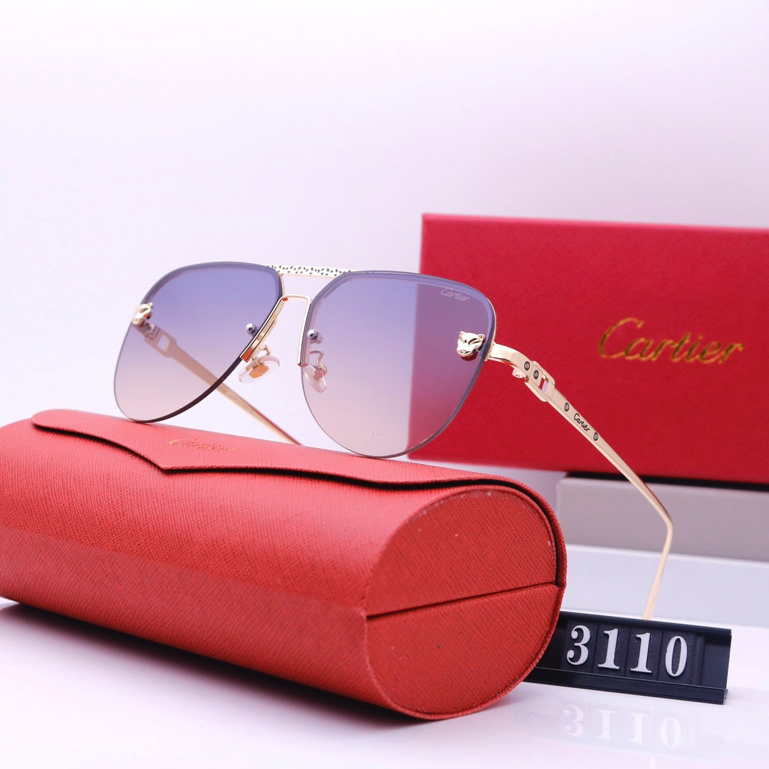 Women's Sunglasses—3110