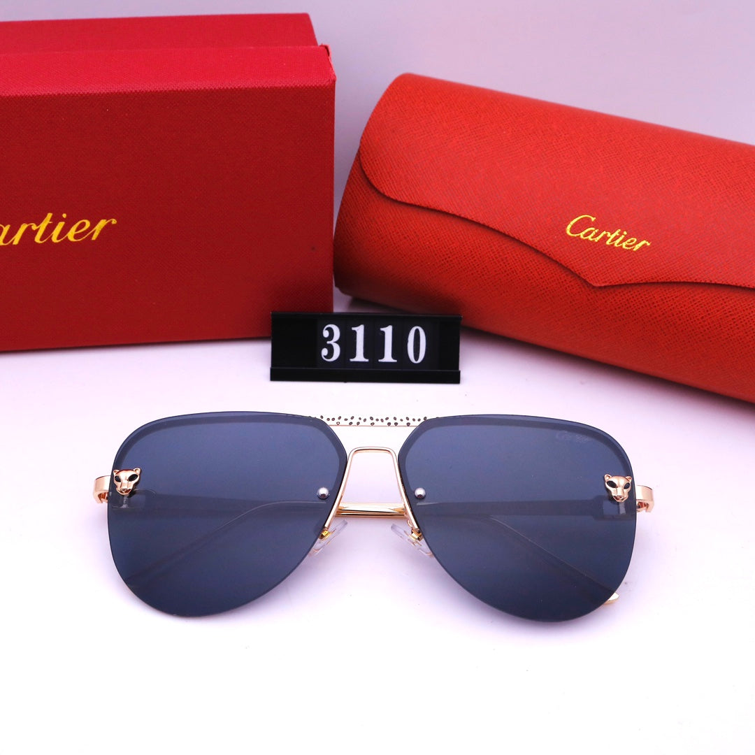 Women's Sunglasses—3110