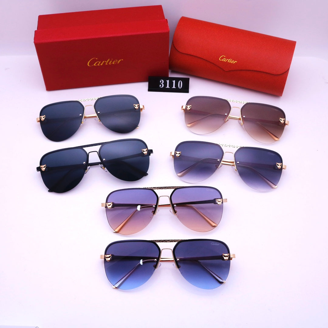 Women's Sunglasses—3110