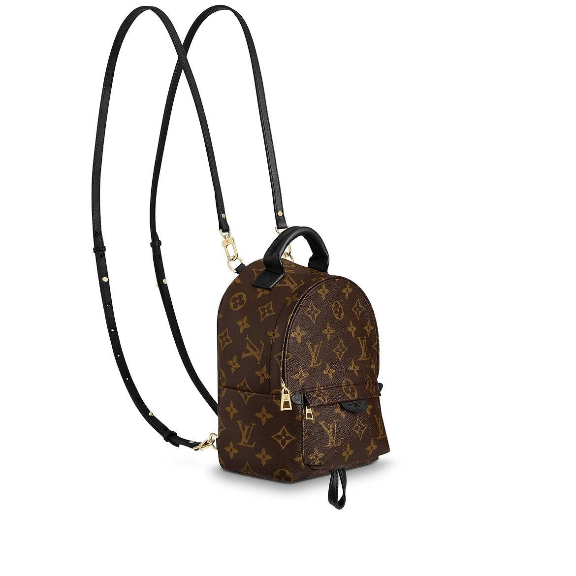 LV Palm Springs Mini M41562