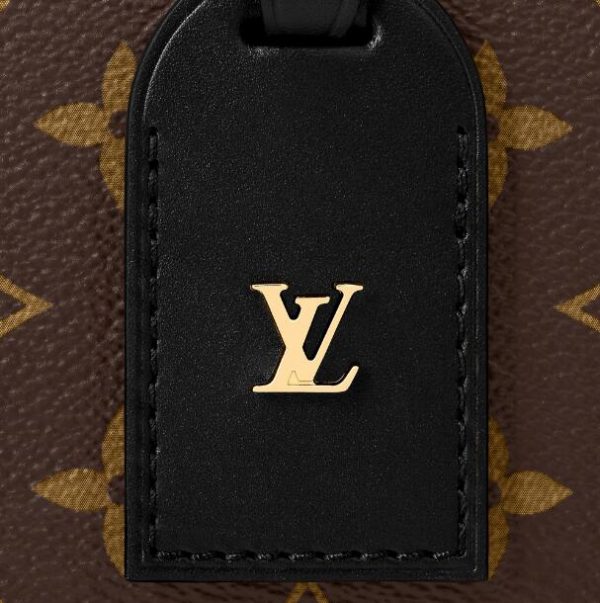 Louis vuitton PETITE MALLE SOUPLE M45571