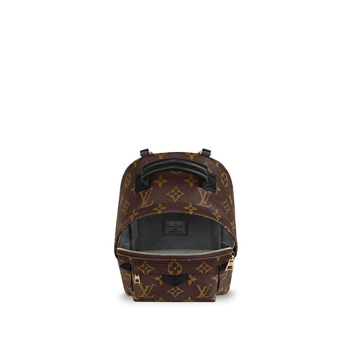 LV Palm Springs Mini M41562